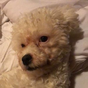 Meet your Posher, Alicia